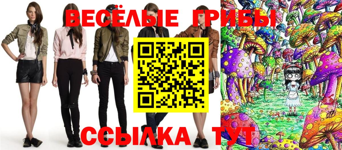 Галлюциногенные грибы мицелий  Галлюциногенные грибы Psilocybe  Вход с VPN  Касимов 